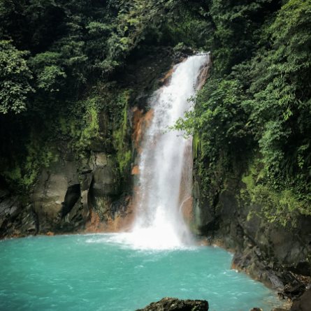 Catarata en el bosque