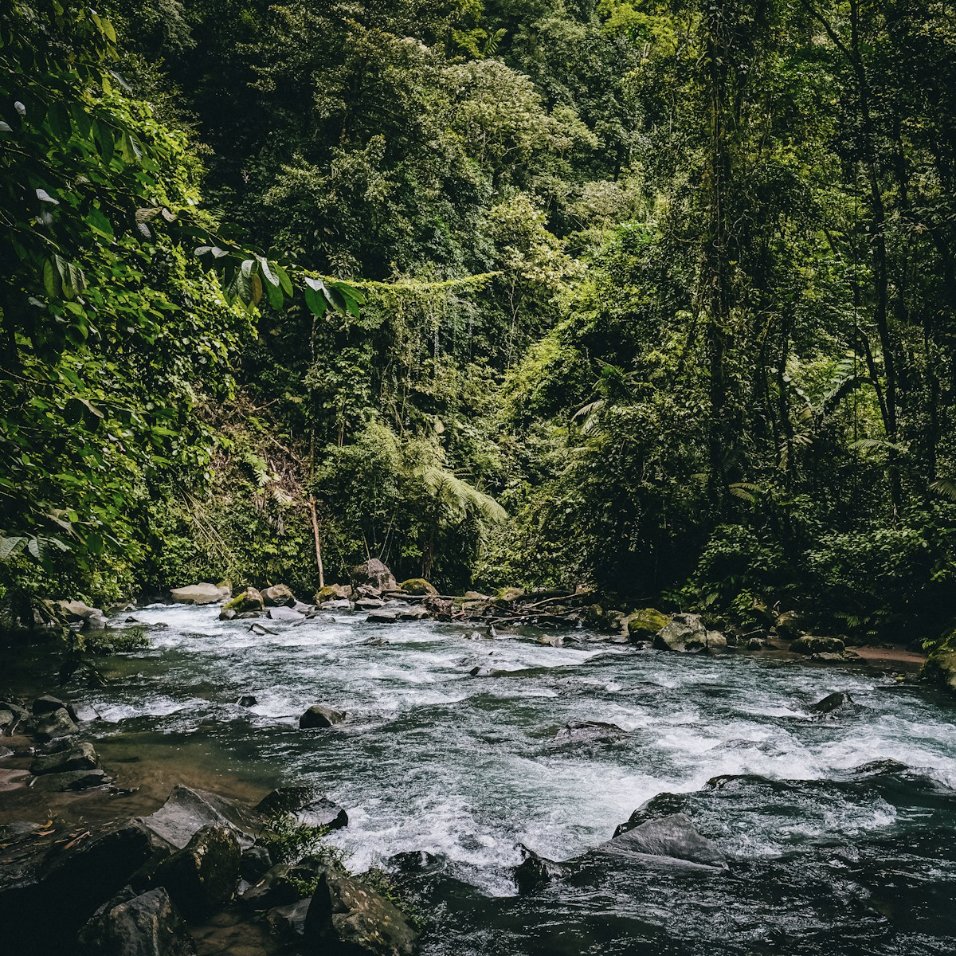 Río entre el bosque tropical de Costa Rica
