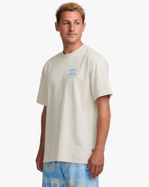 CAMISETA MASCULINO BILLABONG ELEMENTS REGULAR – foto 4
