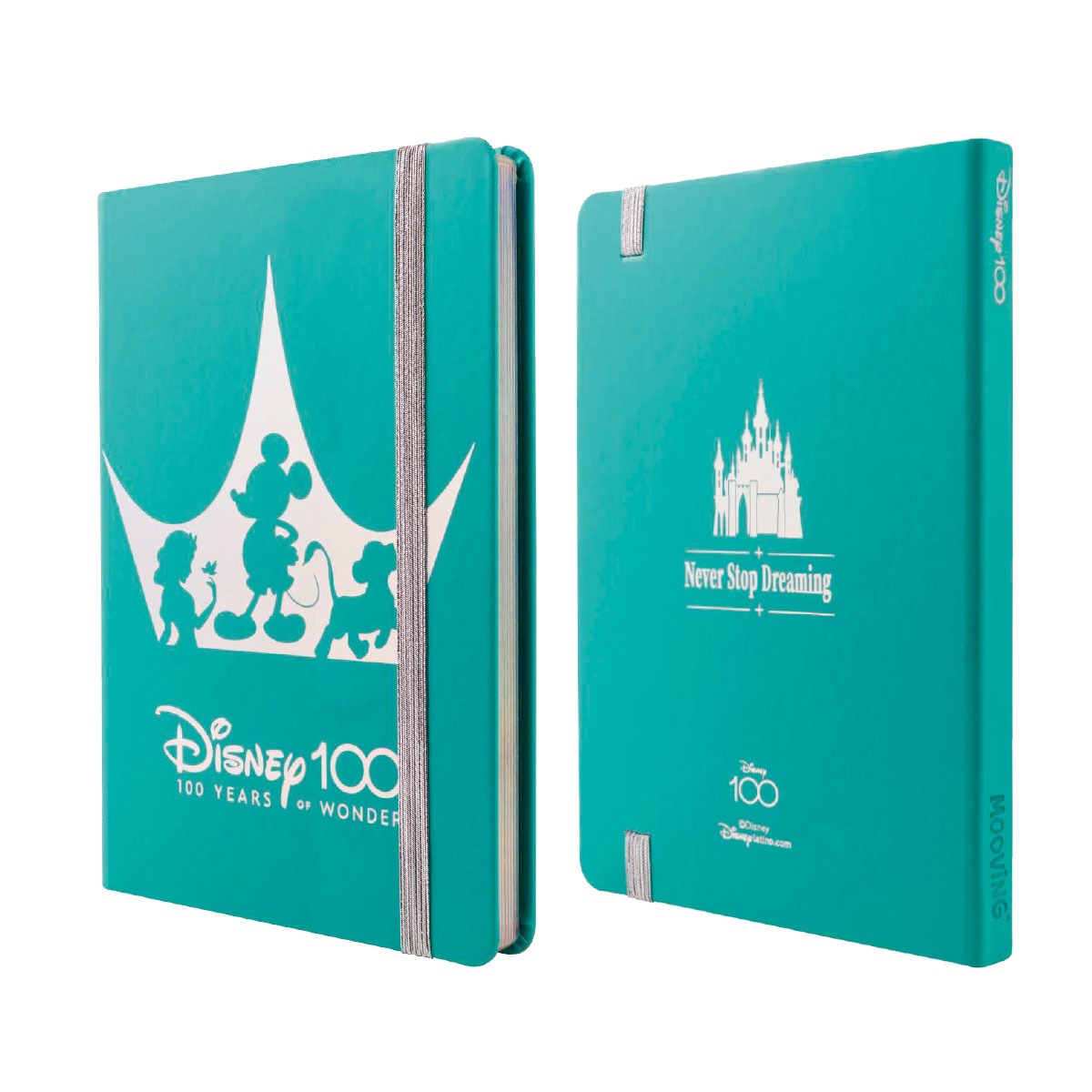 MOOVING NOTES A5 DISNEY