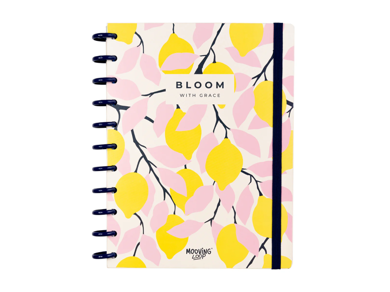 MOOVING LOOP CARTA