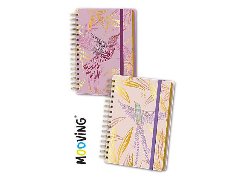 MOOVING AGENDA 2026 BOHO
