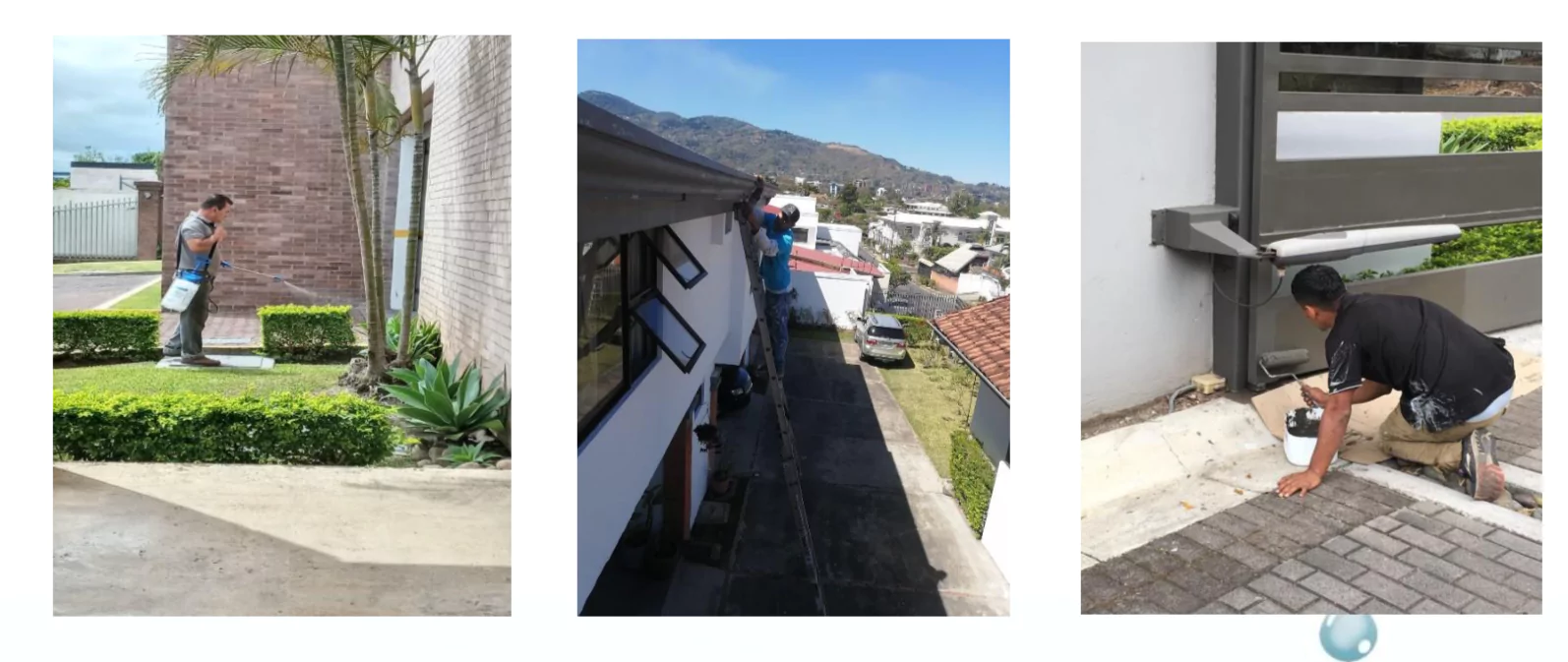 Servicios de limpieza y mantenimiento