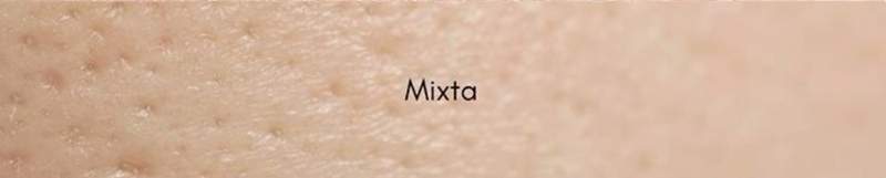 Piel mixta