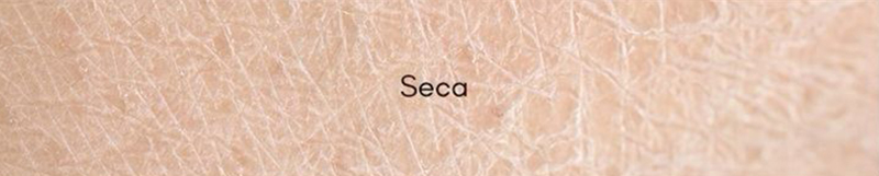 Piel seca