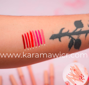 Delineador de Labios Ushas #4