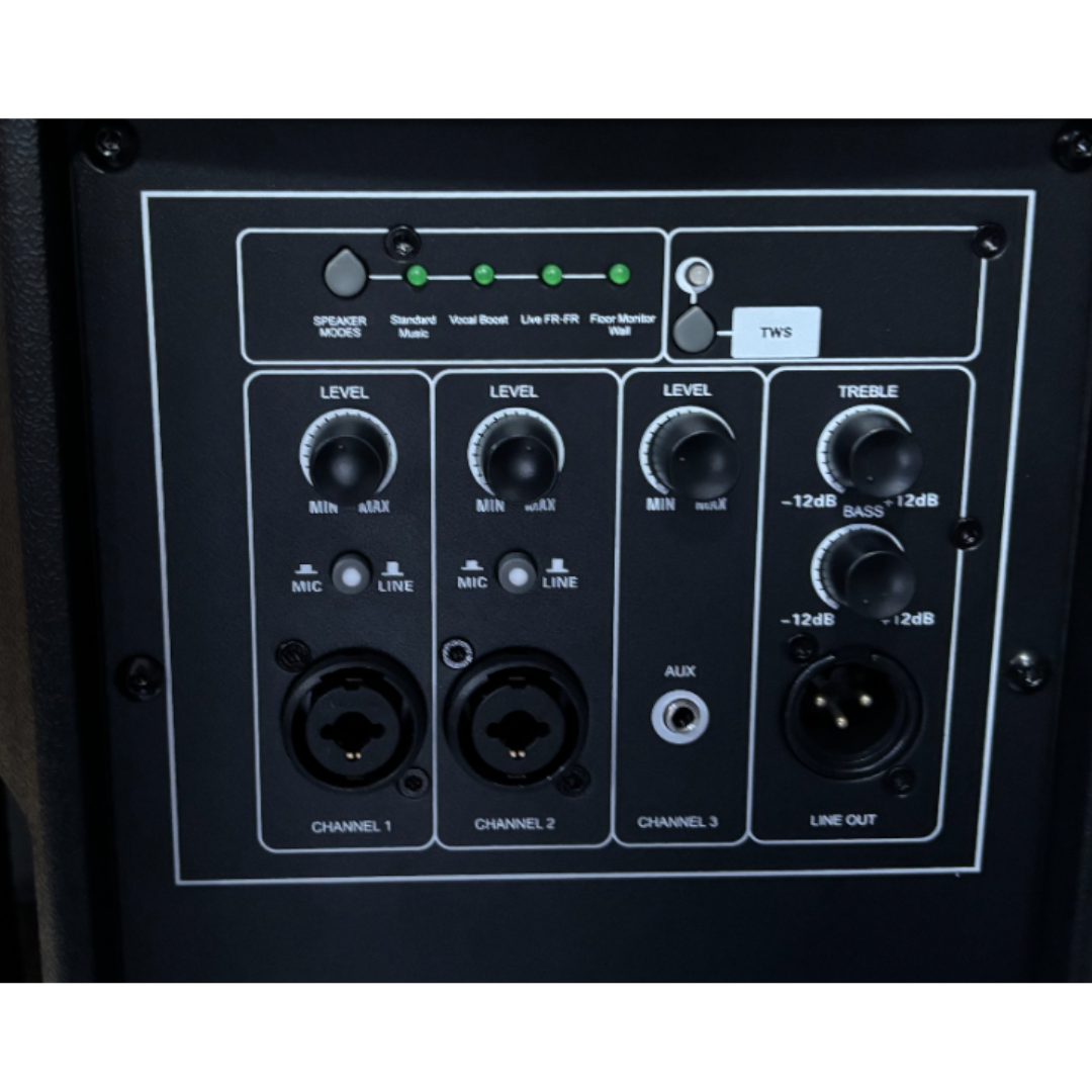 PARLANTE ACTIVO 8" – foto 4