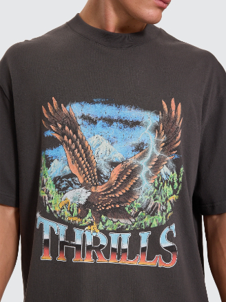 Camiseta Thrills Seen & Heard Oversize Box Crop Black – foto 7