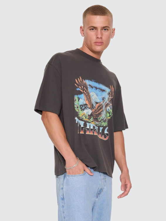 Camiseta Thrills Seen & Heard Oversize Box Crop Black – foto 10