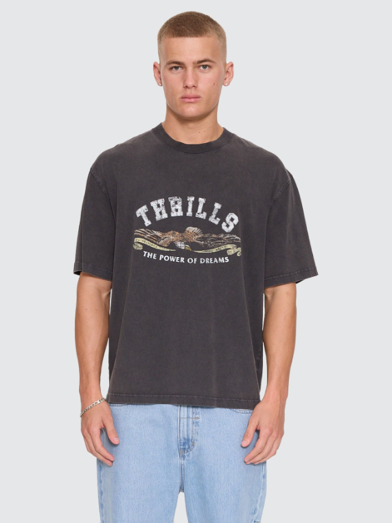 Camiseta Thrills The Power Dreams Oversize Box Crop Grey – foto 5