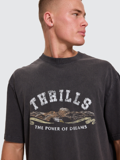 Camiseta Thrills The Power Dreams Oversize Box Crop Grey – foto 7