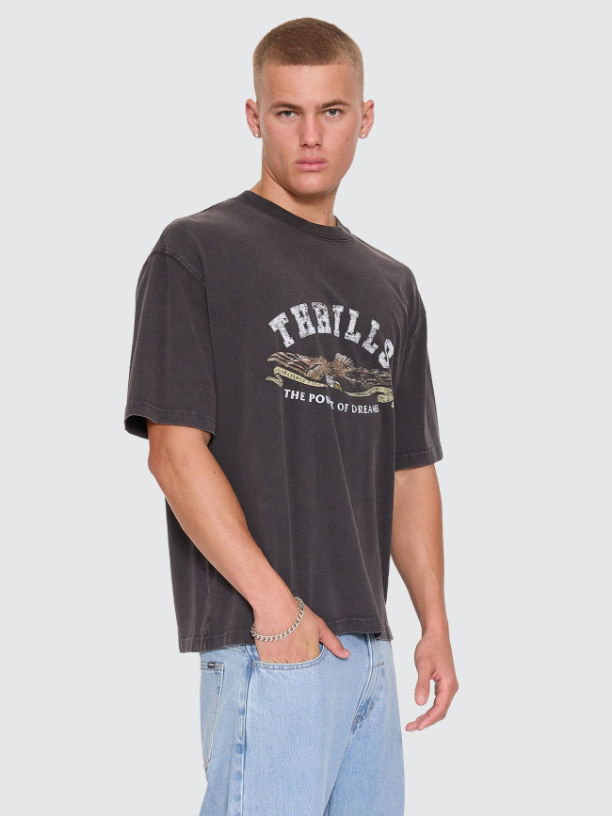 Camiseta Thrills The Power Dreams Oversize Box Crop Grey – foto 8