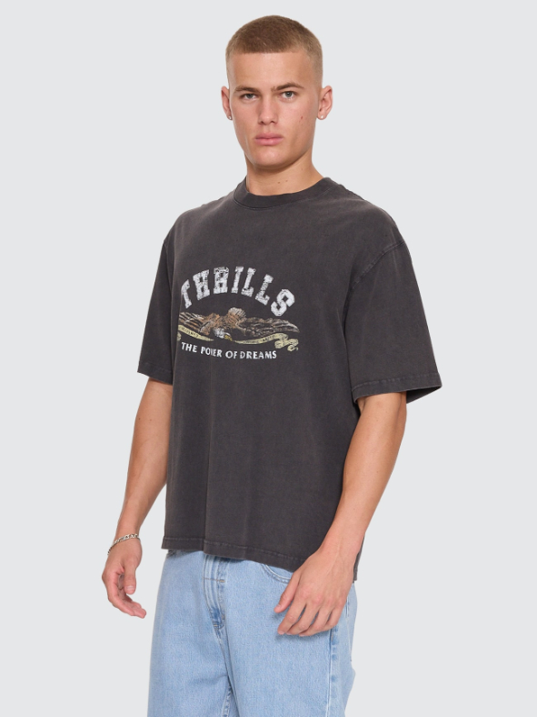 Camiseta Thrills The Power Dreams Oversize Box Crop Grey – foto 11