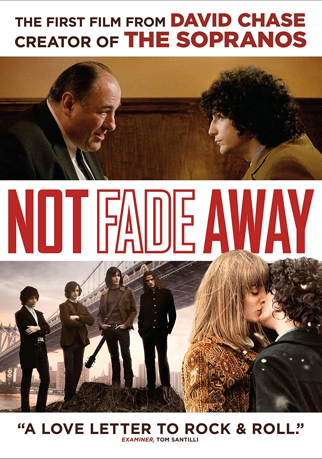 NOT FADE AWAY/DVD