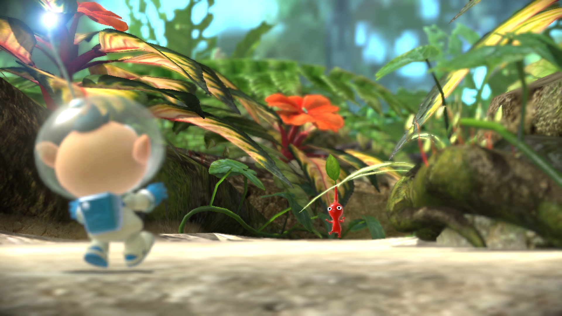 Preview