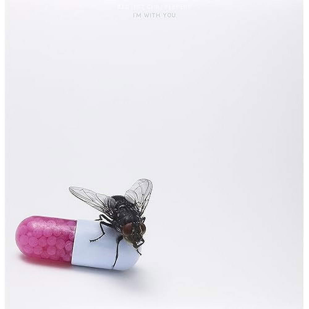 RED HOT CHILI PEPPERS/IM WITH YOU 2LP (VINYL) – foto 1