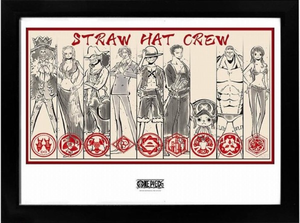CUADRO ONE PIECE STRAW HAT CREW GBYDCO058 30 X 40