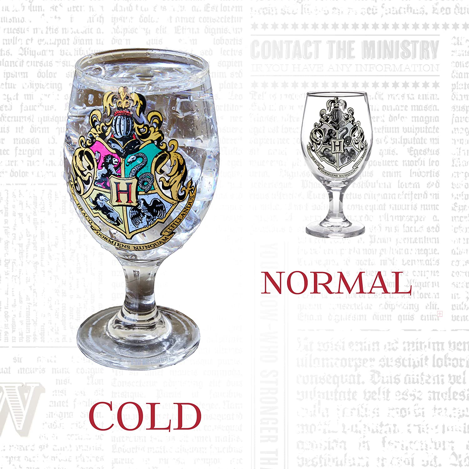COPA HARRY POTTER COLOUR CHANGE PAL6677 PP4259HPV2