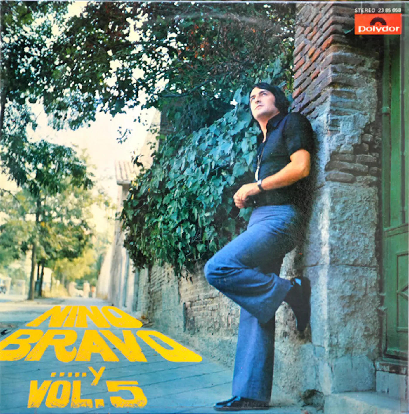 NINO BRAVO/Y VOL.5 (VINYL) – foto 1