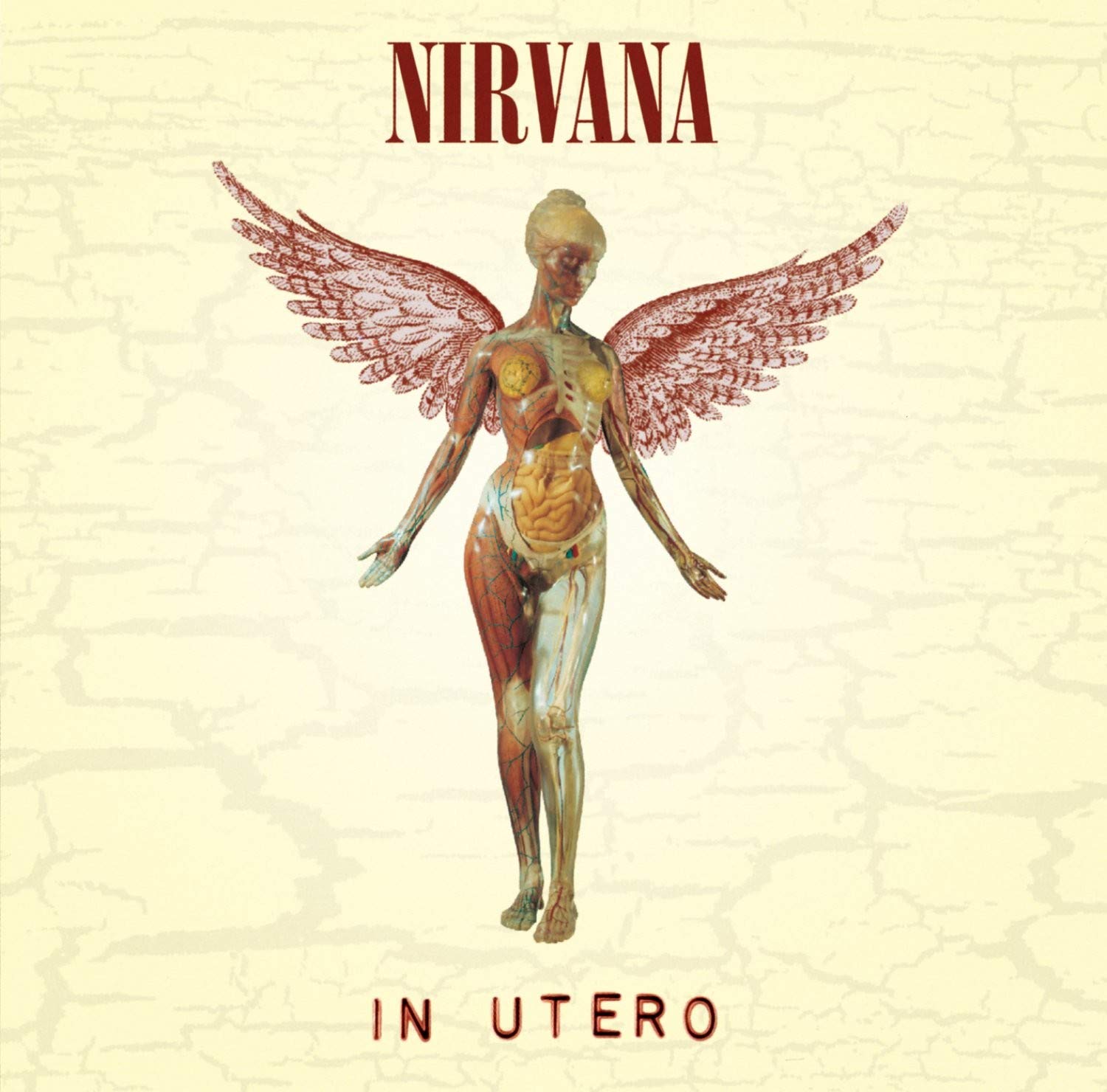 NIRVANA/IN UTERO (VINYL) – foto 1