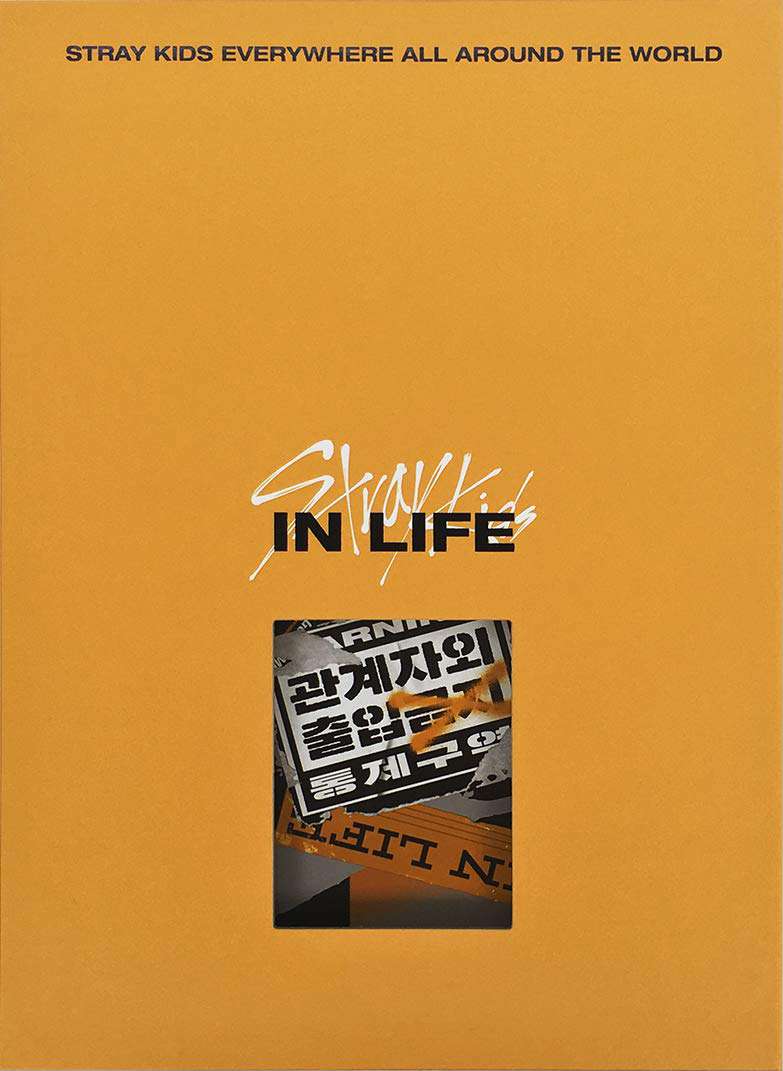STRAY KIDS/IN LIFE