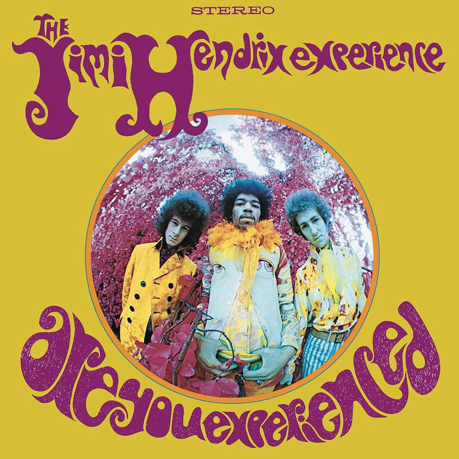 JIMI HENDRIX/ARE YOU EXPERIENCED – foto 1