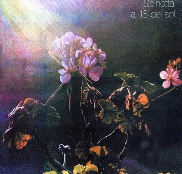 SPINETTA/A 18`DEL SOL – foto 1