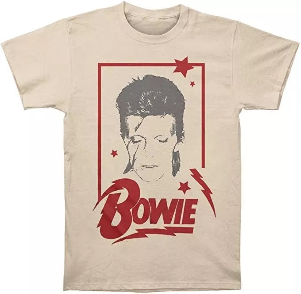 T-SHIRT DAVID BOWIE ALADDIN FRAME (M) BWE0105MGT (M) – foto 1