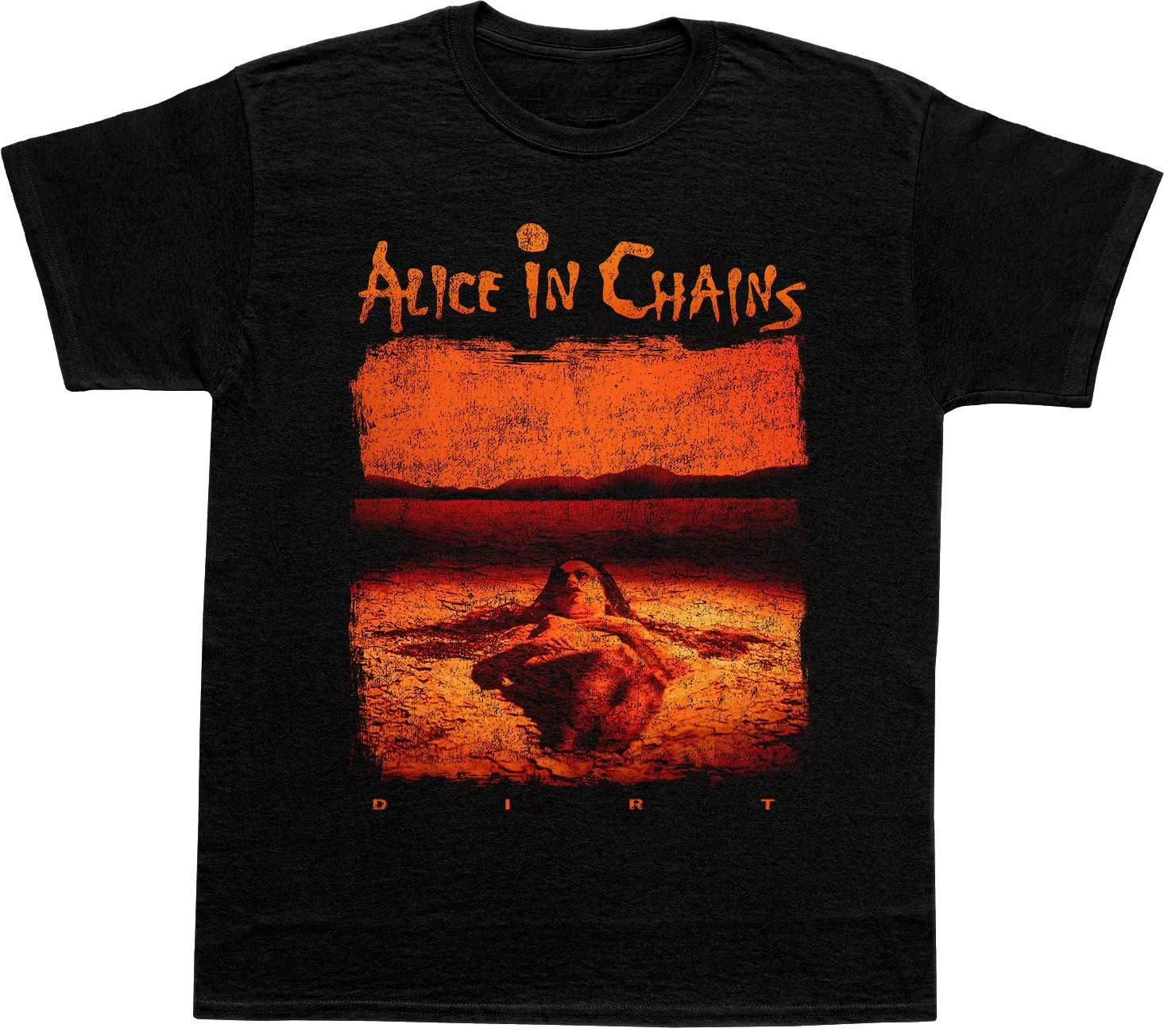 T-SHIRT ALICE IN CHAINS VINTAGE DIRT ACH1000HF (XL) – foto 1